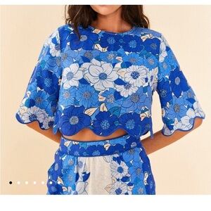 NWT Farm Rio Blue Flower Stripes Crop Top